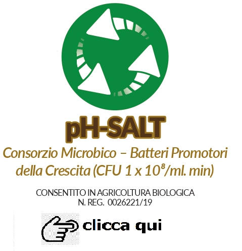 logo pH-SALT