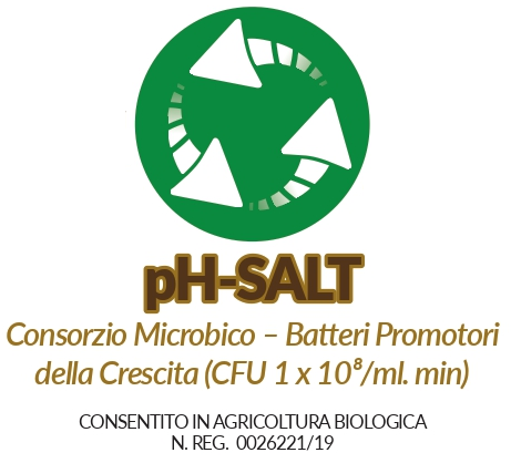 logo pH-SALT