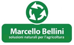 logo Marcello Bellini srl